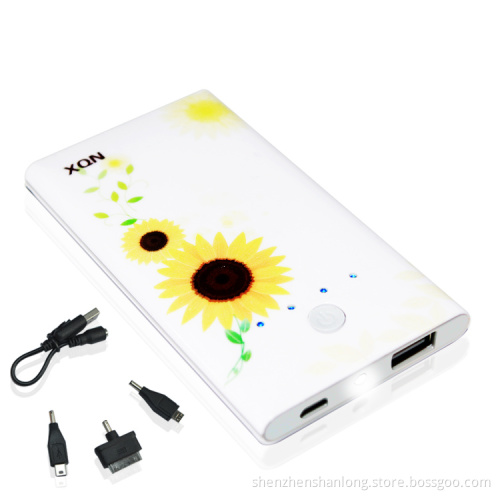 Portable Mobile Power Bank for Recharging